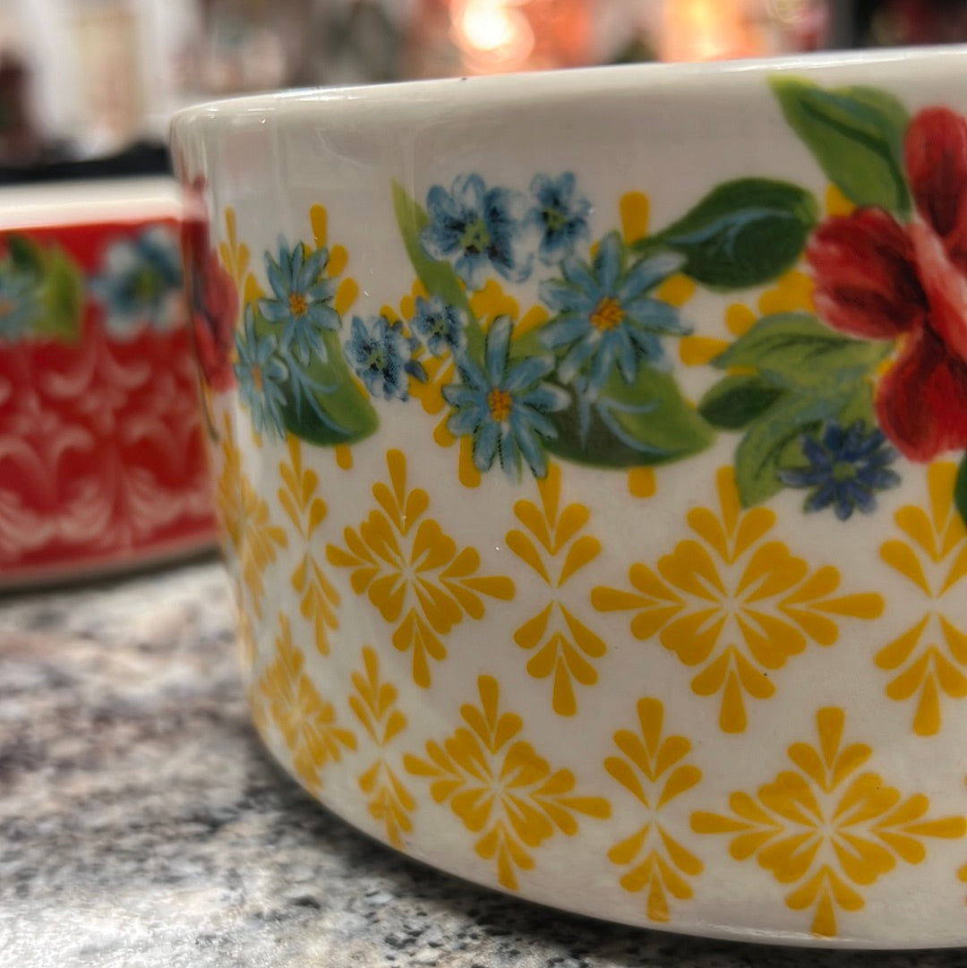 Pioneer Woman Bowl Set