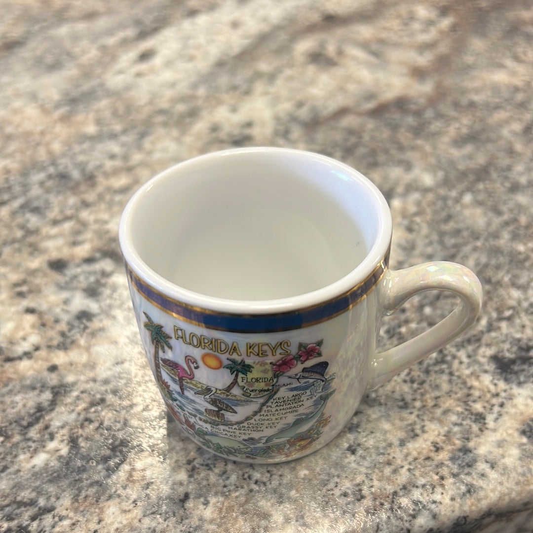 Florida Souvenir Mug