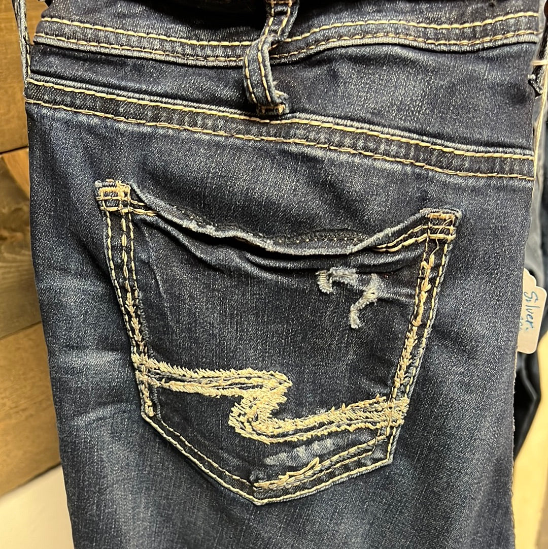 Silver Capris 31