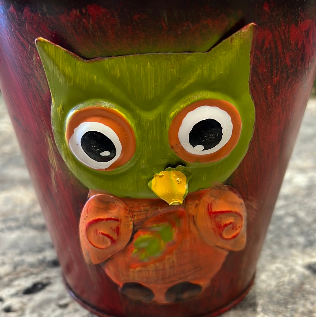 Owl Metal Bucket