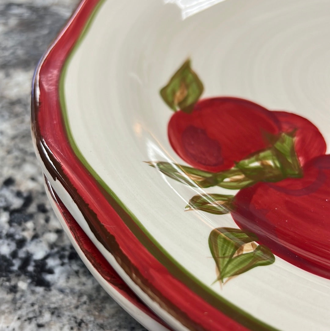 Apple Plate Bowl Set
