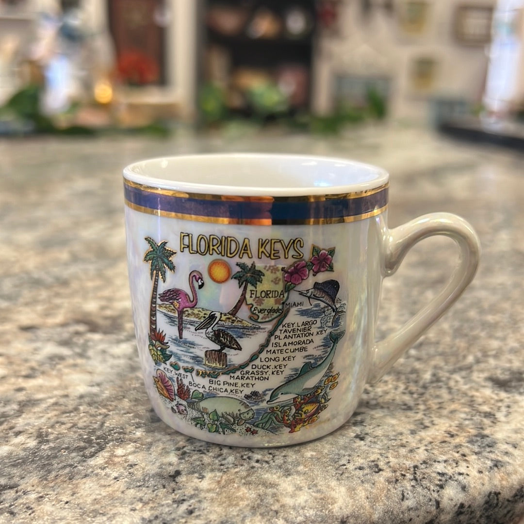 Florida Souvenir Mug