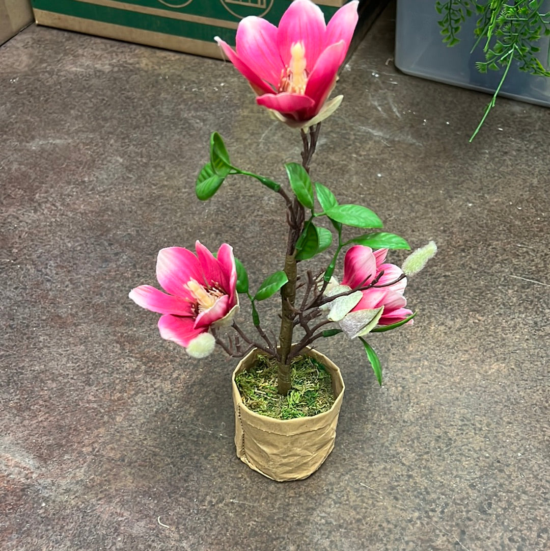 Pink Flowers