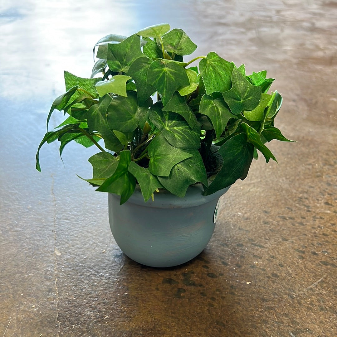 Small Potted Plant