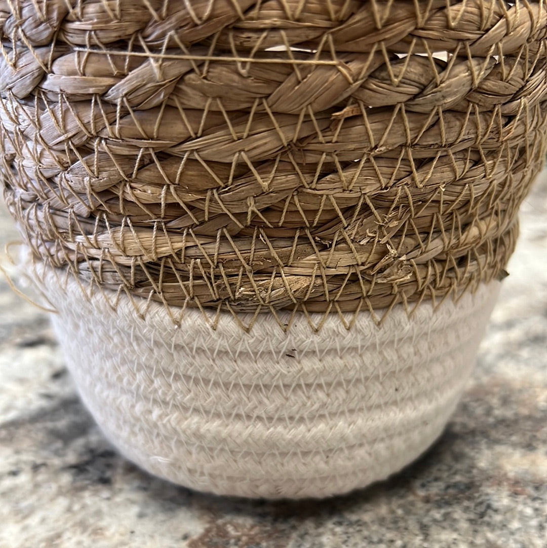 Small Wicker Planter