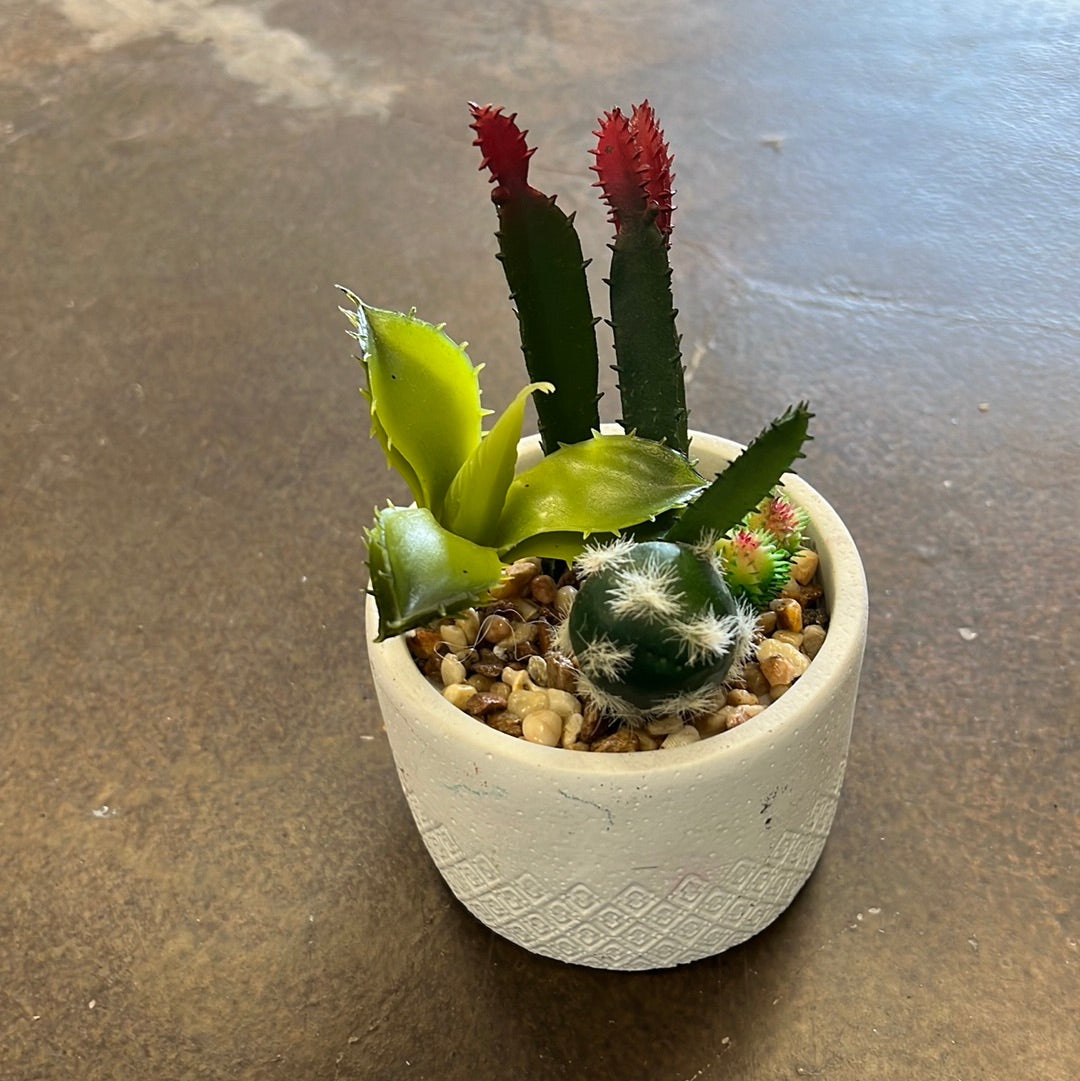 Fake Cactus Plant