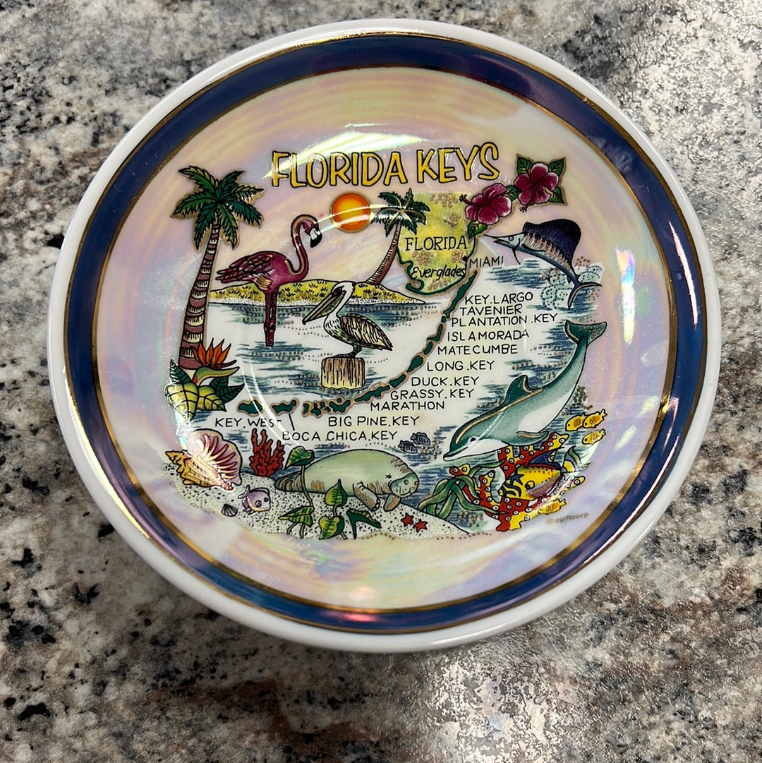 Florida Souvenir Mug