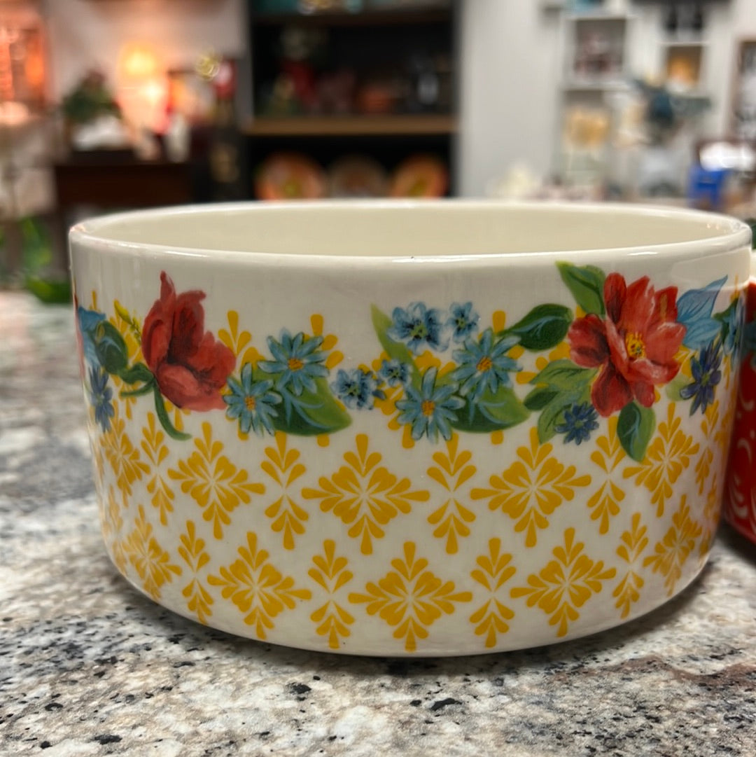 Pioneer Woman Bowl Set