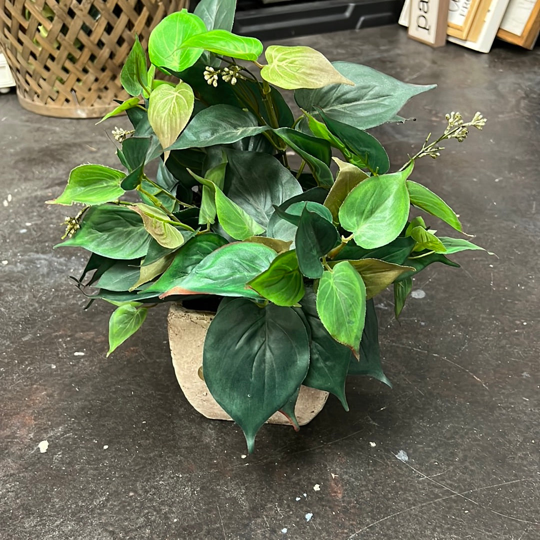 Potted Plant