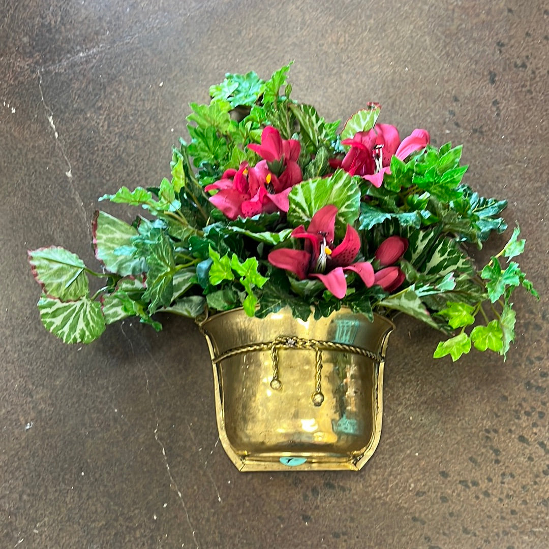 Wall Hanging Plant