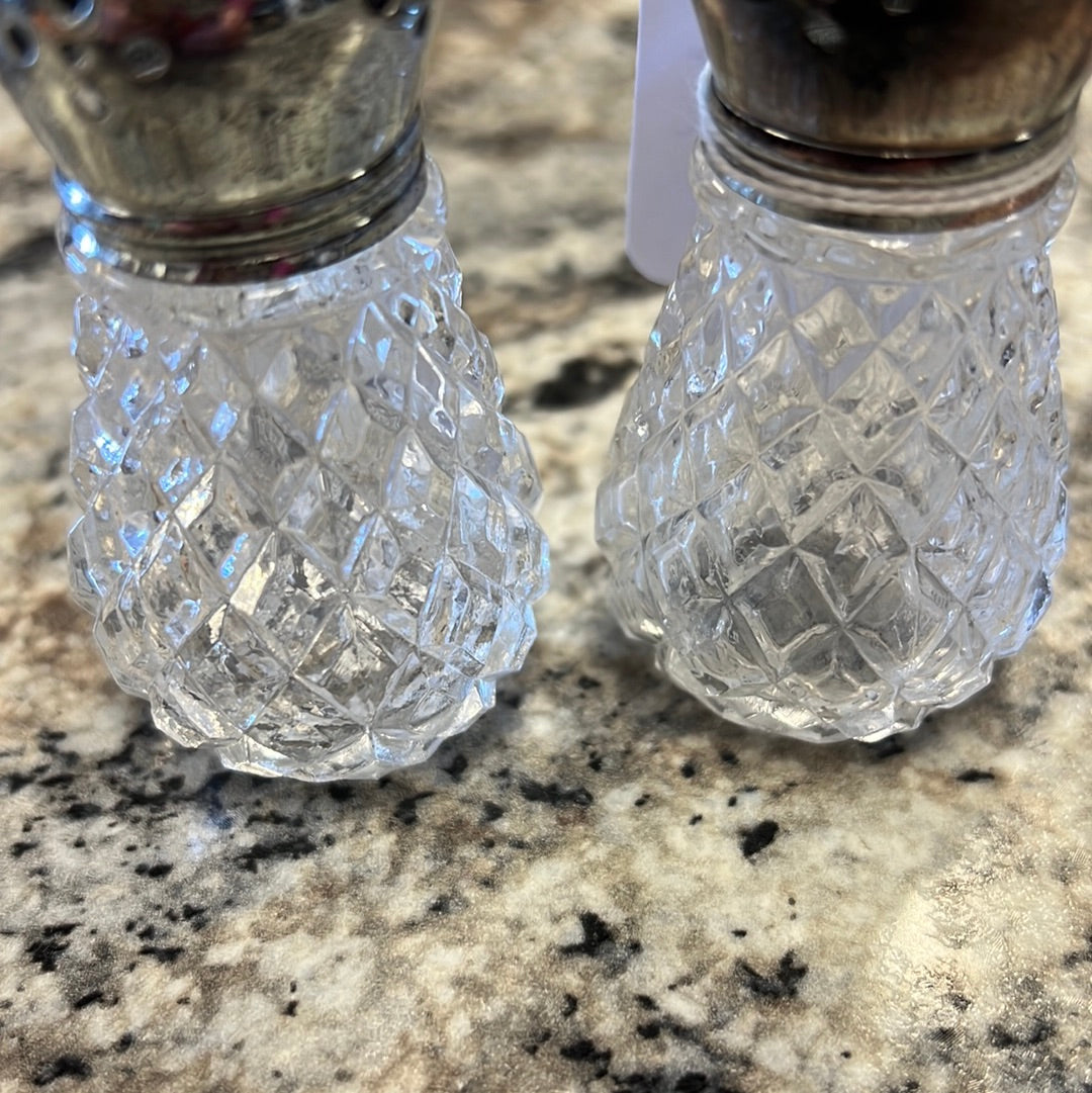 Crystal Salt Shakers