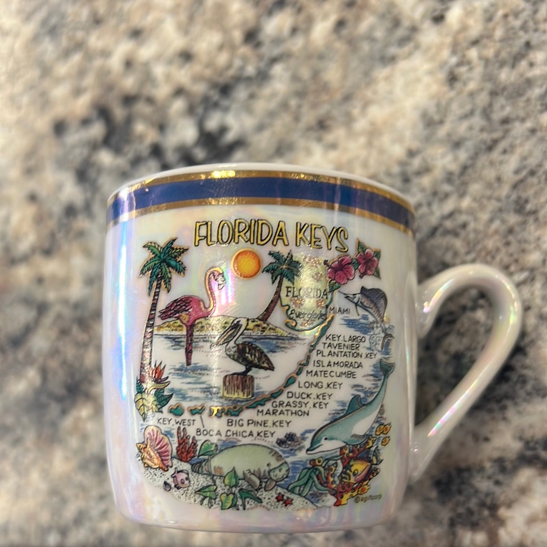 Florida Souvenir Mug