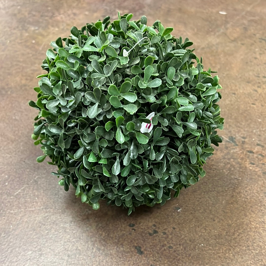 Round Plant