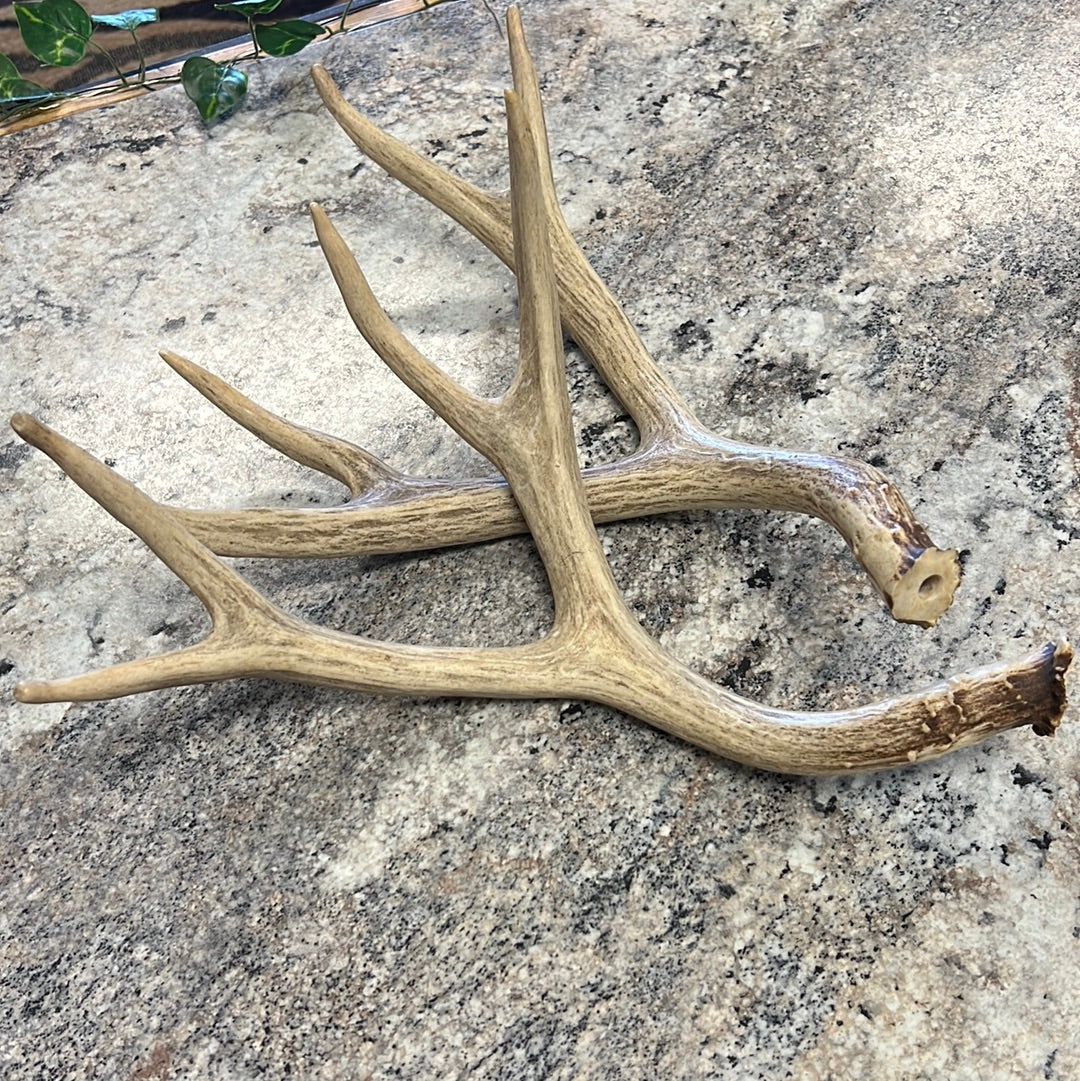 Deer Antlers Set