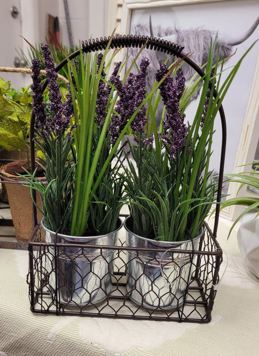 Two little flowers in a basket