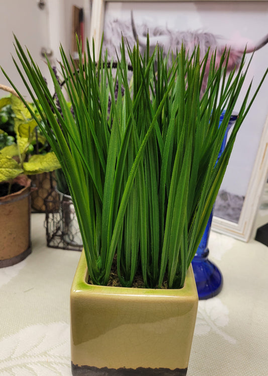 Artificial grass with ceramic vase.