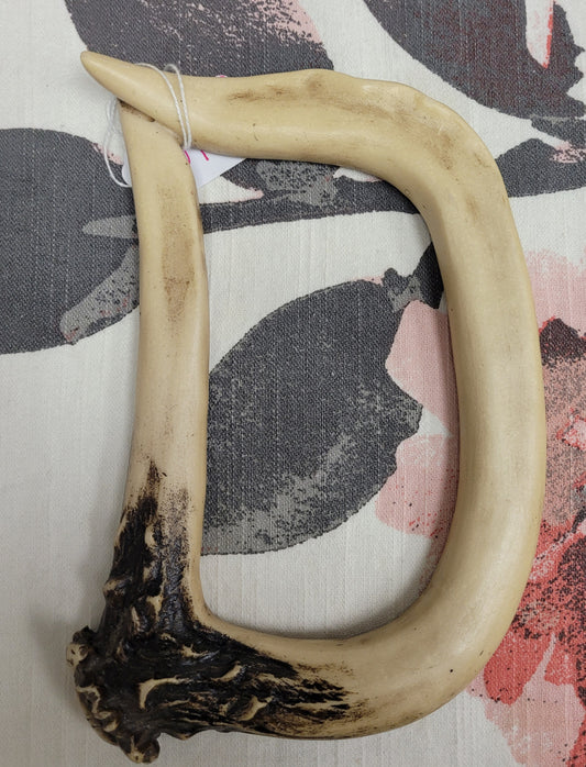 Antler D Wall