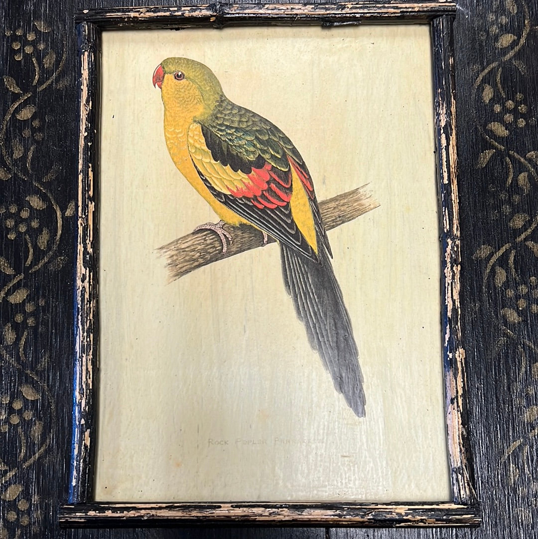 Vintage Framed Print