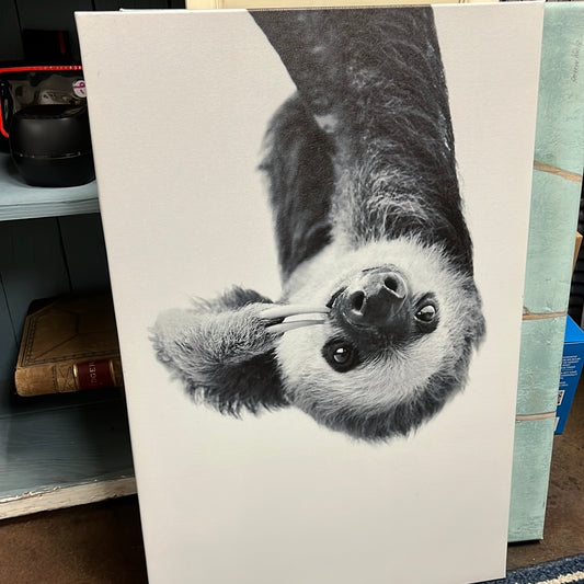 Sloth Canvas NEW