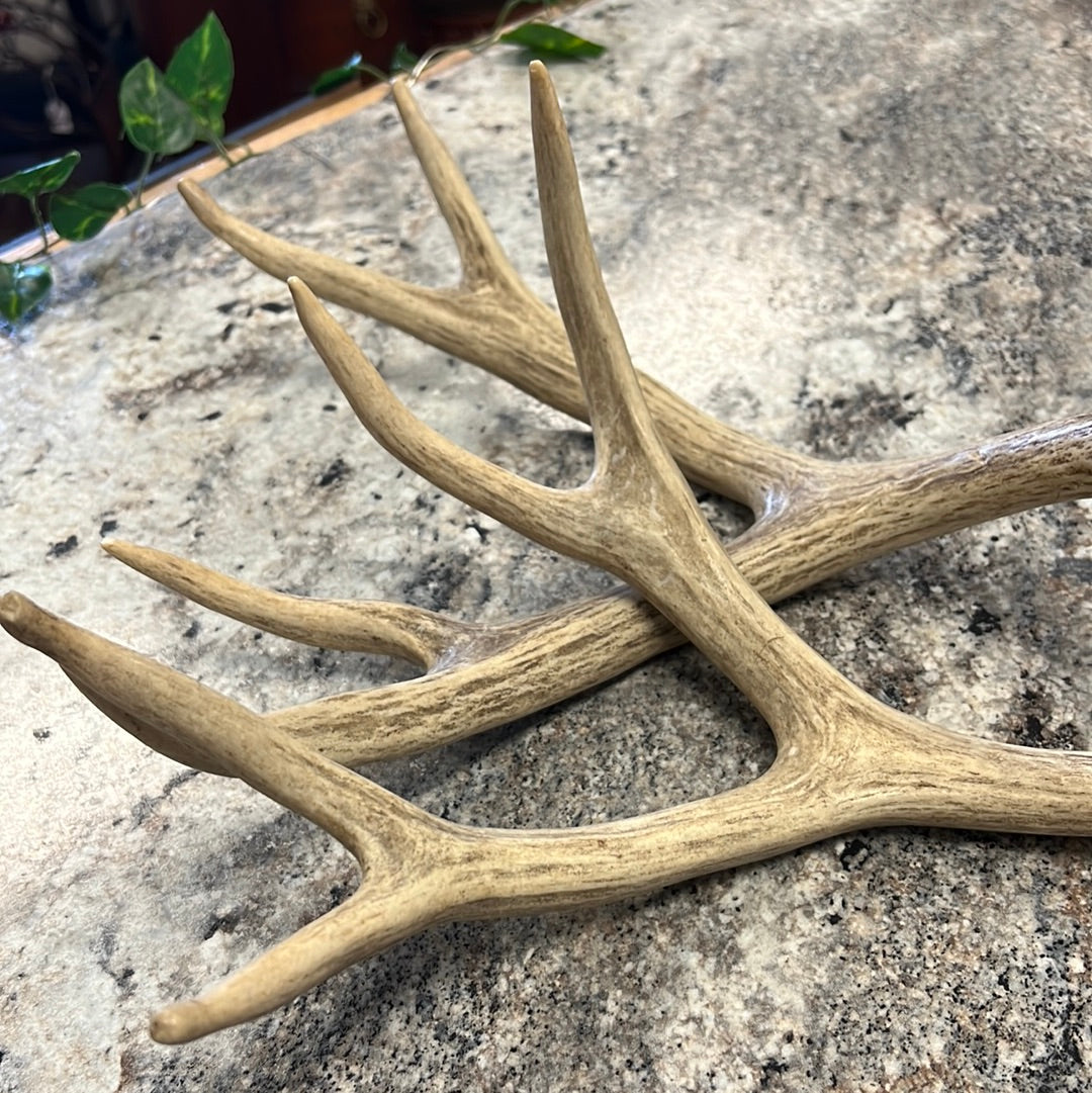 Deer Antlers Set