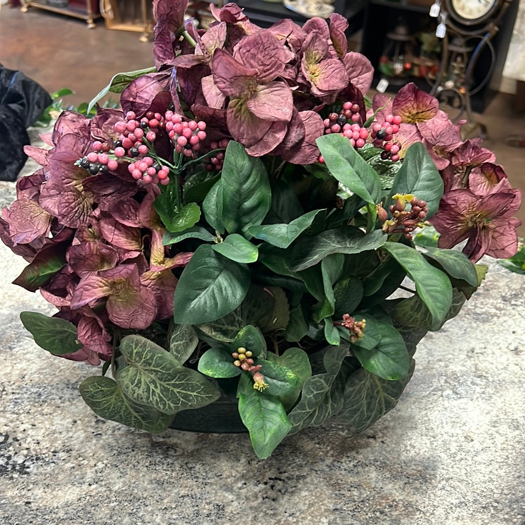 Violet Plant in Tin