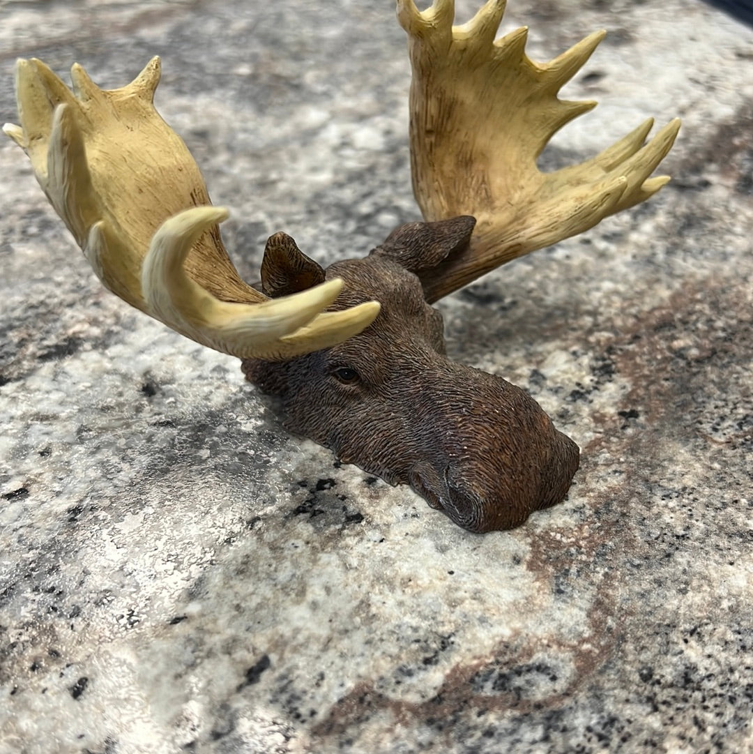 Boyd’s Moose Decor