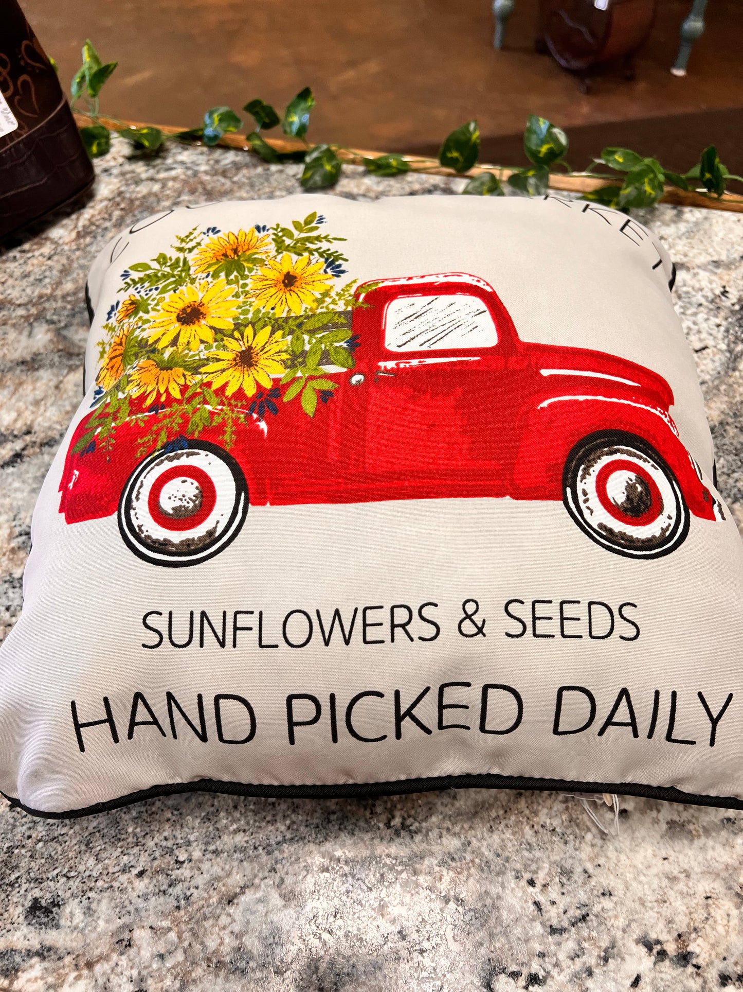 Truck Throw Pillow